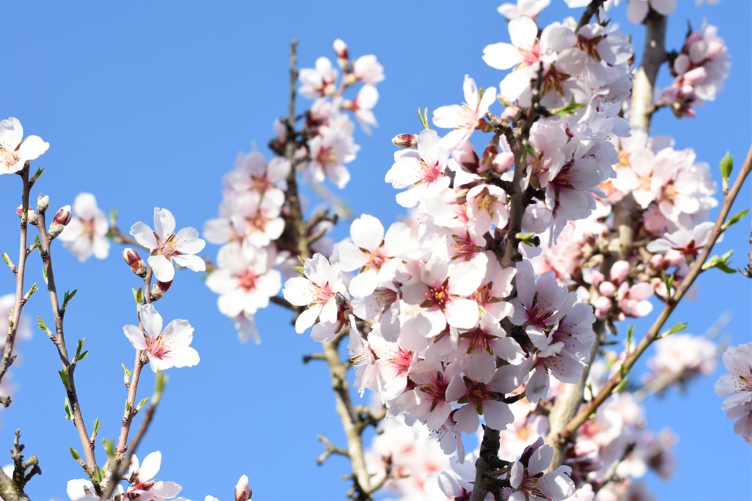 imgi_48_DSC1387_ok_slider